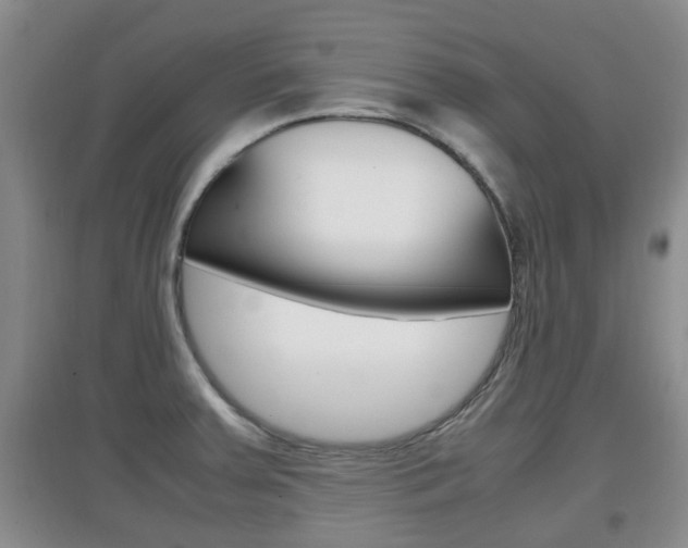 X0000097901379200803140957