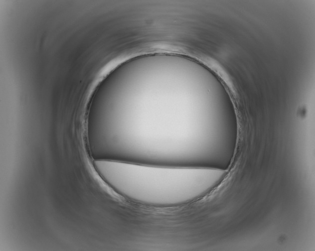 X0000097901381200803140957