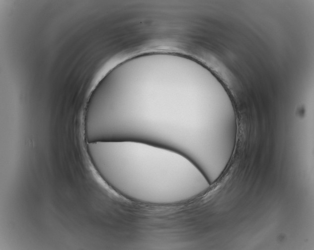 X0000097901382200803140957