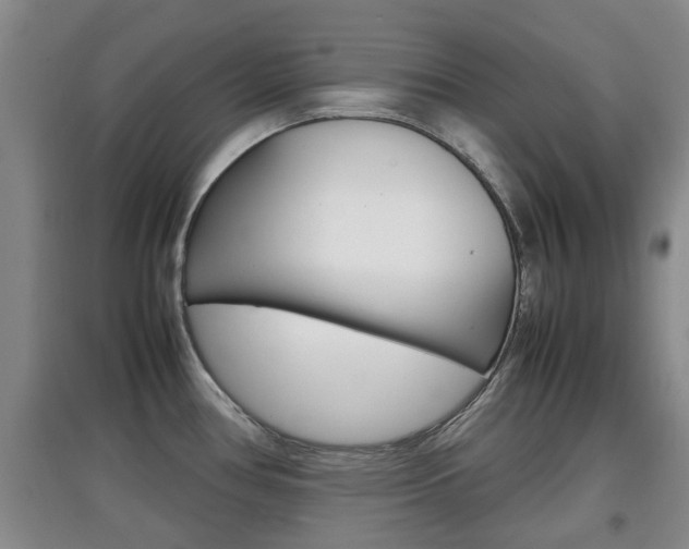 X0000097901386200803140957