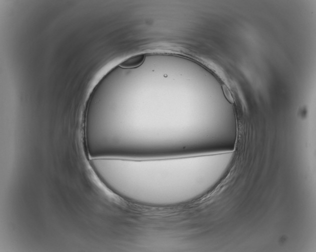 X0000097901387200803140957