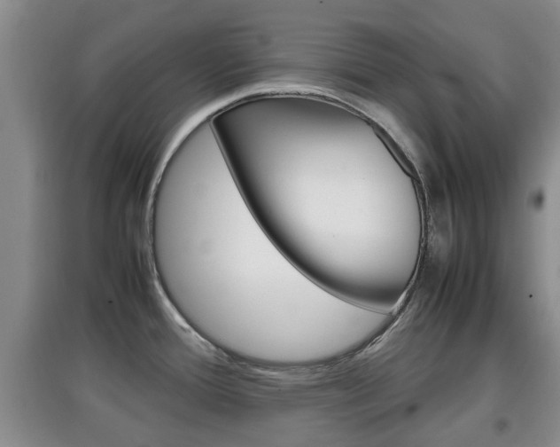 X0000097901388200803140957
