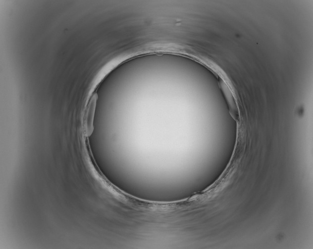 X0000097901389200803140957