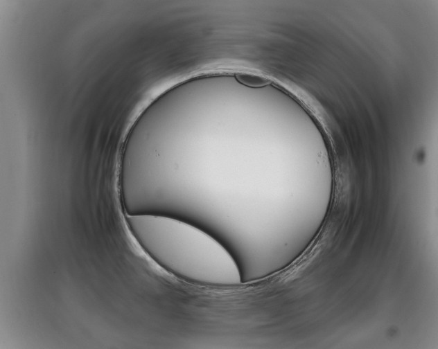 X0000097901390200803140957