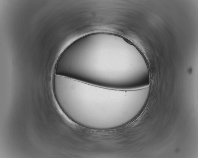 X0000097901391200803140957