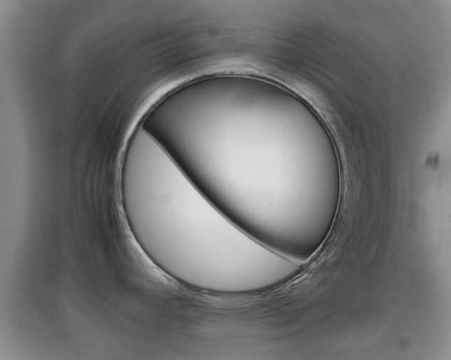 X0000097901392200803140957