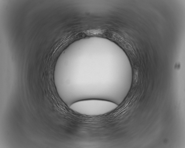 X0000097901393200803140956