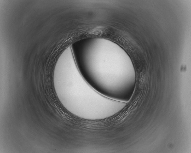 X0000097901394200803140956