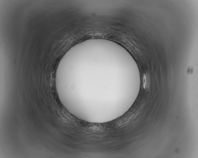 X0000097901395200803140956