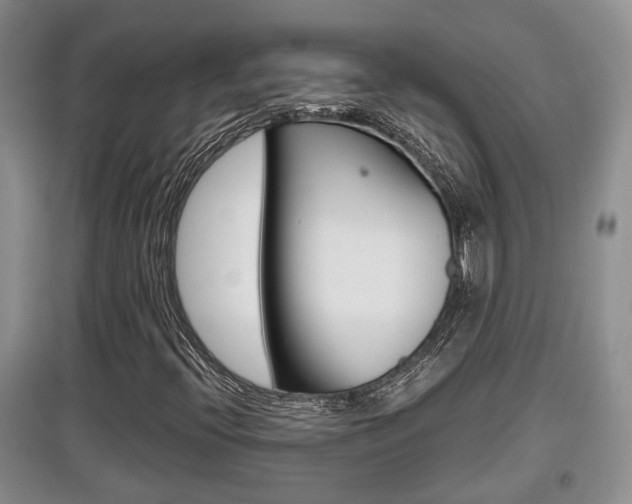 X0000097901396200803140956