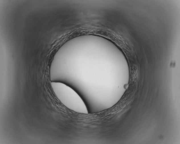 X0000097901397200803140956