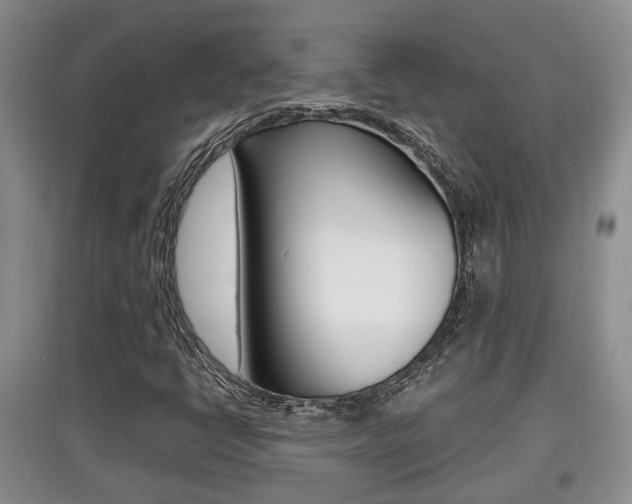 X0000097901398200803140956