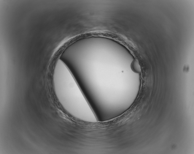 X0000097901400200803140956