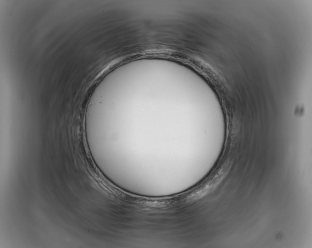 X0000097901401200803140956