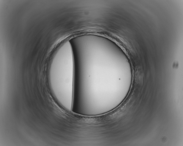 X0000097901402200803140956