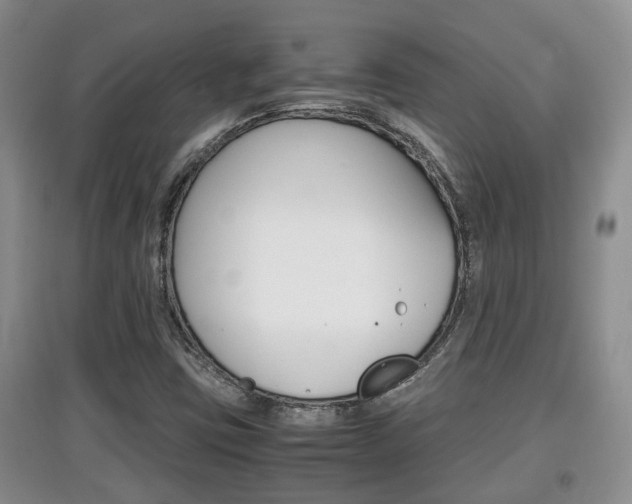 X0000097901403200803140956