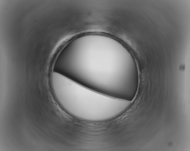 X0000097901408200803140956