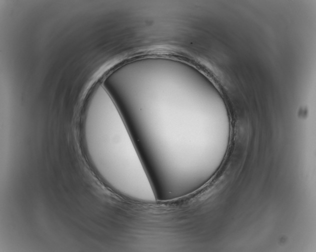 X0000097901410200803140956