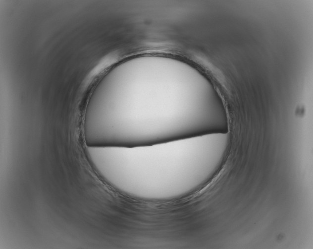 X0000097901411200803140956