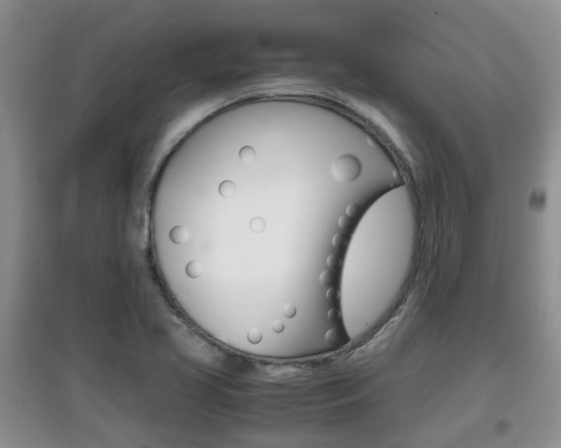 X0000097901413200803140956