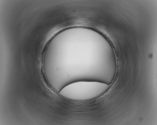 X0000097901415200803140956