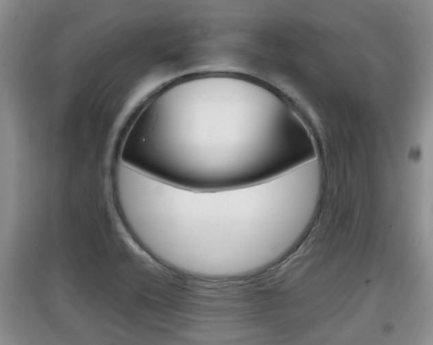 X0000097901416200803140956