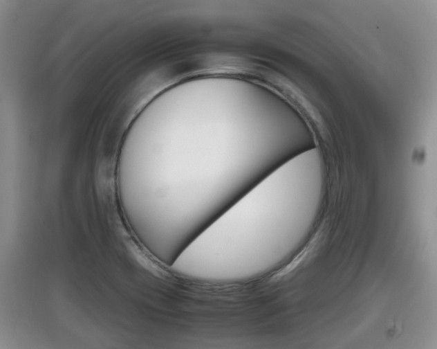X0000097901417200803140956