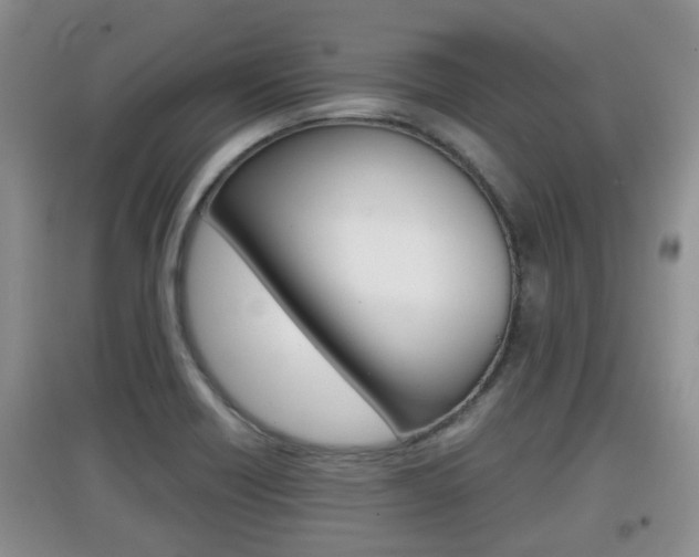 X0000097901418200803140956