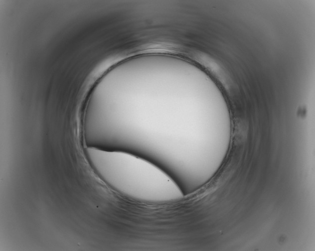 X0000097901419200803140956