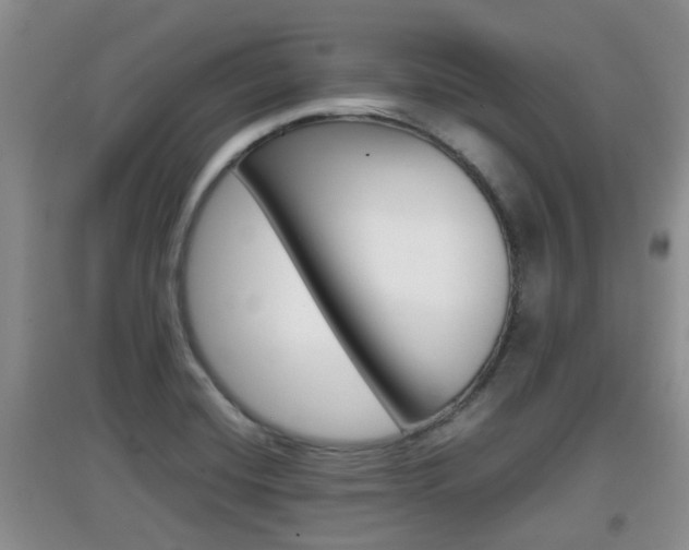 X0000097901420200803140956