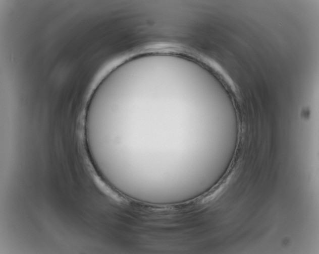 X0000097901421200803140956