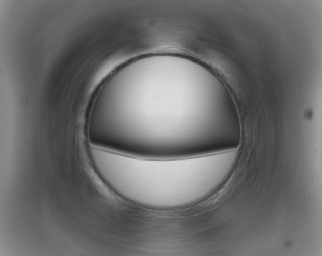 X0000097901422200803140956