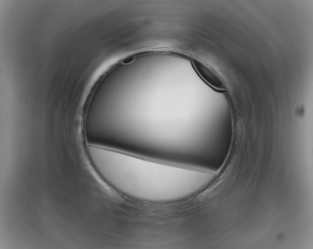 X0000097901424200803140956