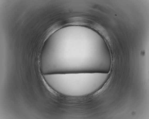 X0000097901425200803140956