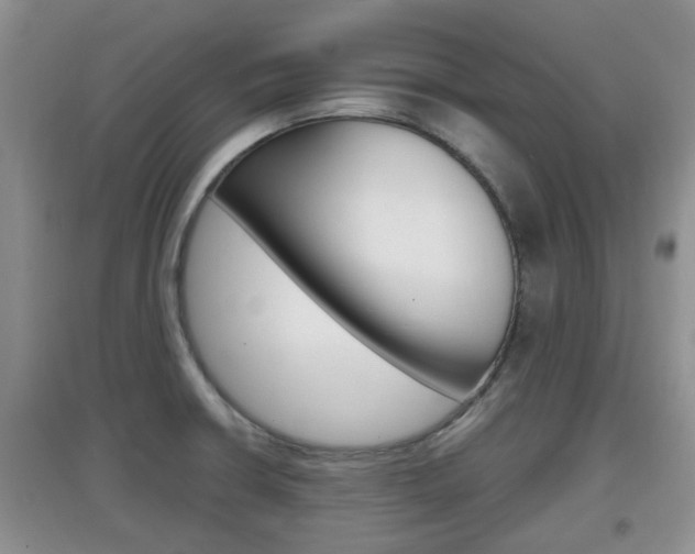 X0000097901426200803140956