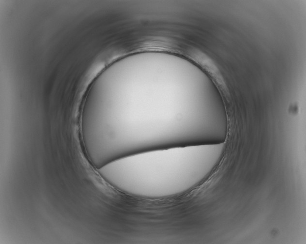 X0000097901427200803140956