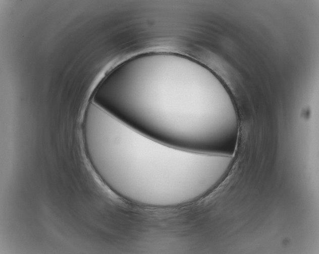 X0000097901428200803140956