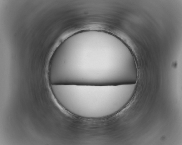 X0000097901429200803140956