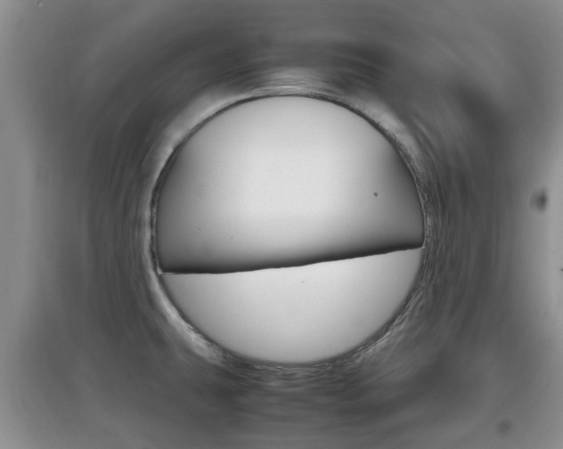 X0000097901431200803140956
