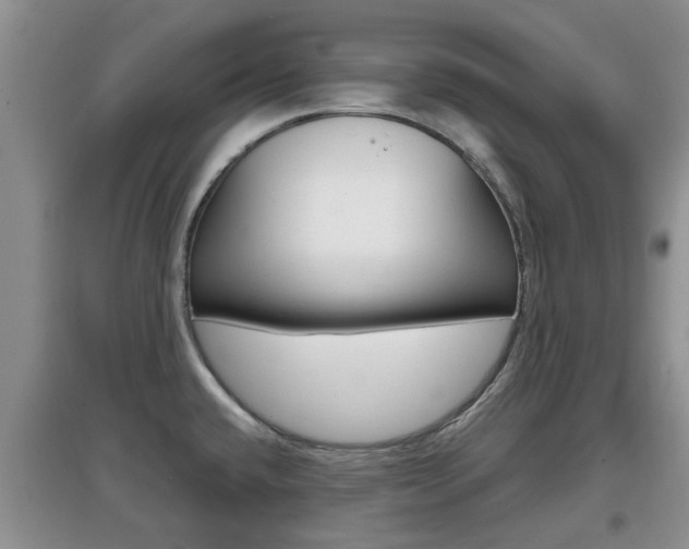X0000097901432200803140956