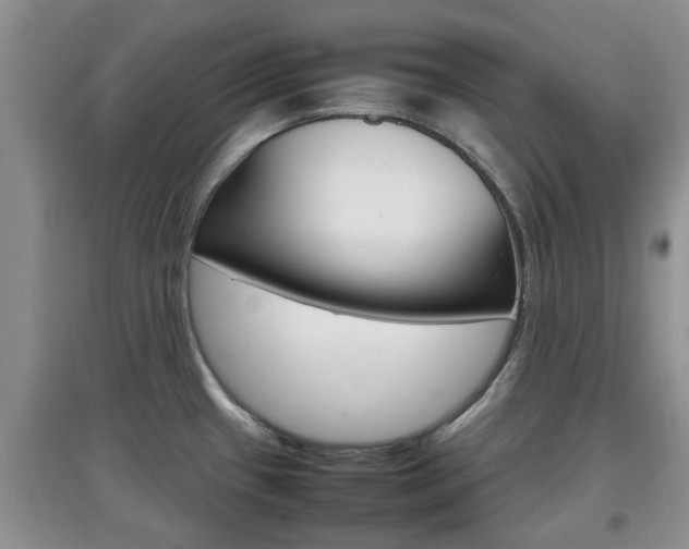 X0000097901433200803140956