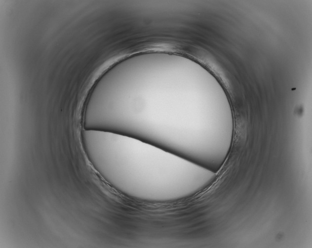 X0000097901435200803140956