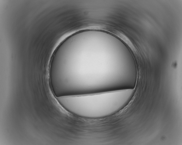 X0000097901436200803140956