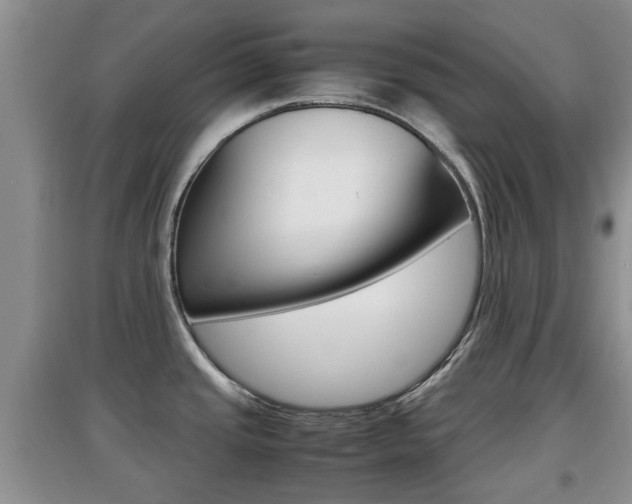X0000097901437200803140956