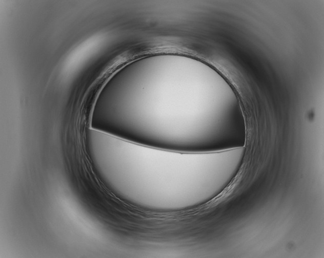 X0000097901438200803140956