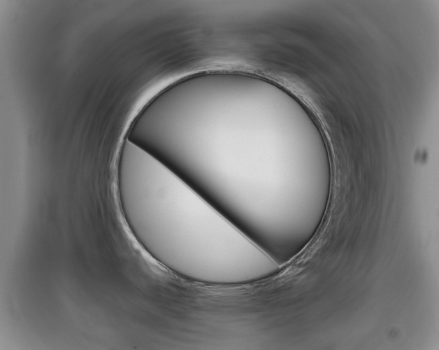 X0000097901440200803140956