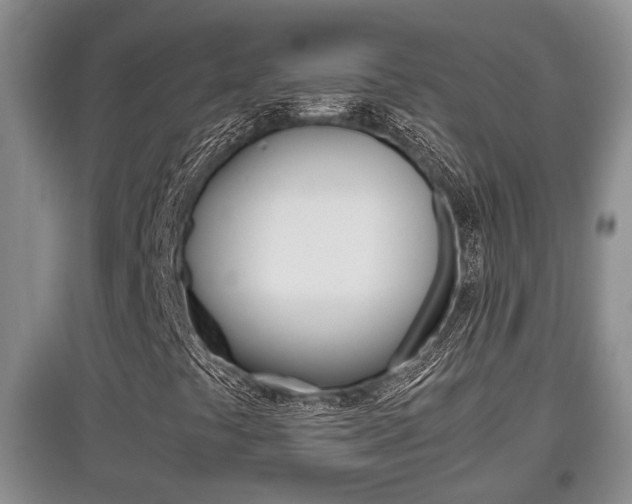 X0000097901441200803140956