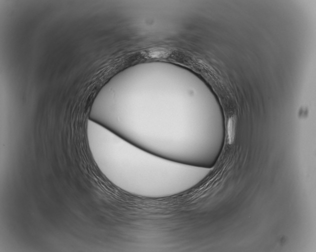 X0000097901443200803140956