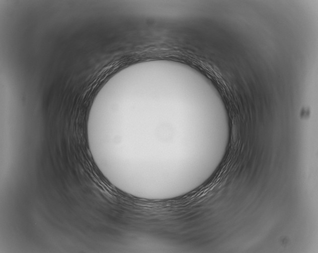 X0000097901444200803140956