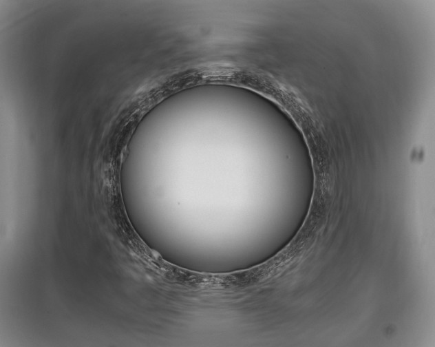 X0000097901445200803140956